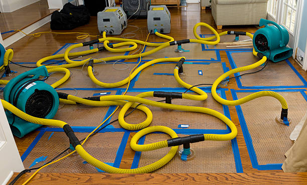 Professional Structural Drying And Dehumidification technician working in Garland, TX